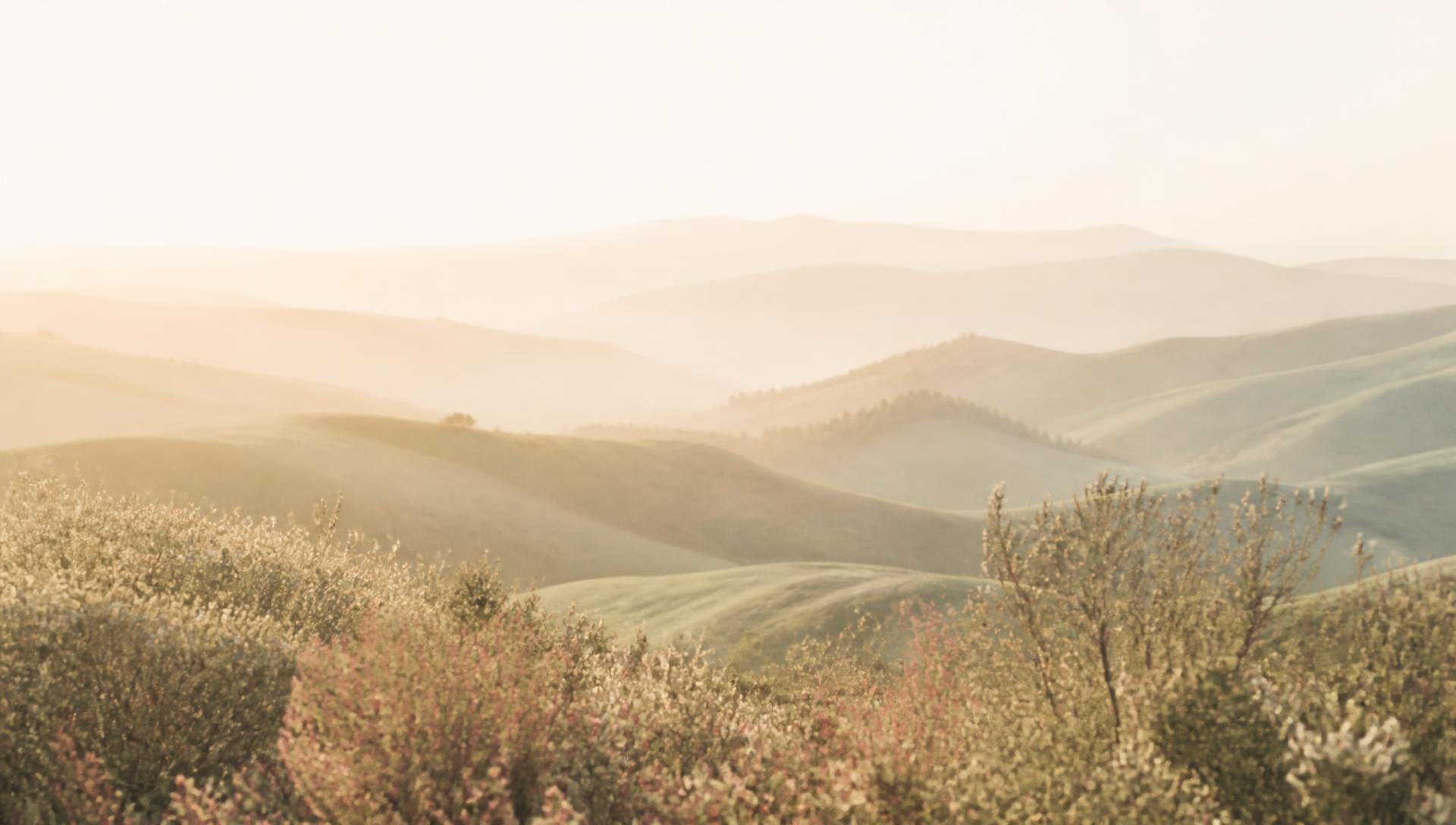 Sunlit rolling hills at dawn